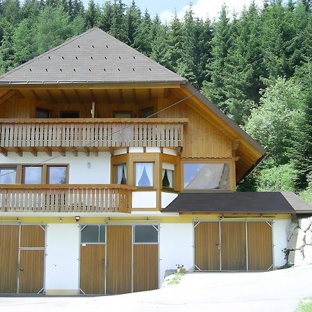 Hinterhauensteinhof Villa Hornberg Luaran gambar